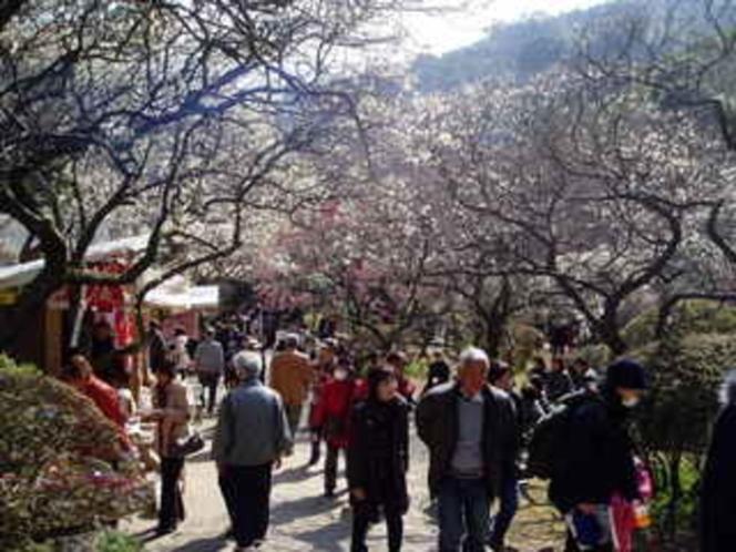 Minoya Hotel Atami  Luaran gambar